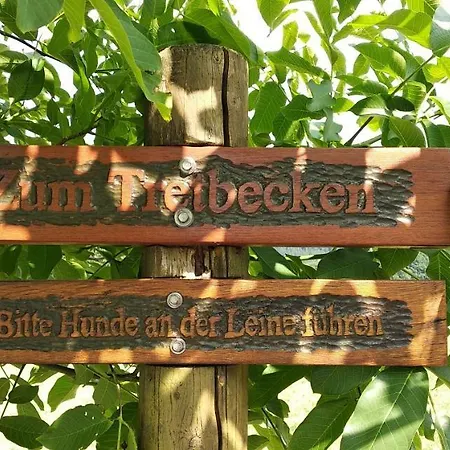 Bergzeit In Langewiese - Landelijke Star Apartment